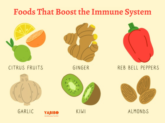 10 Foods That Boost the Immune System