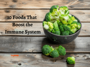 10 Foods That Boost the Immune System 