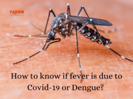 How to know if fever is due to Covid-19 or Dengue?