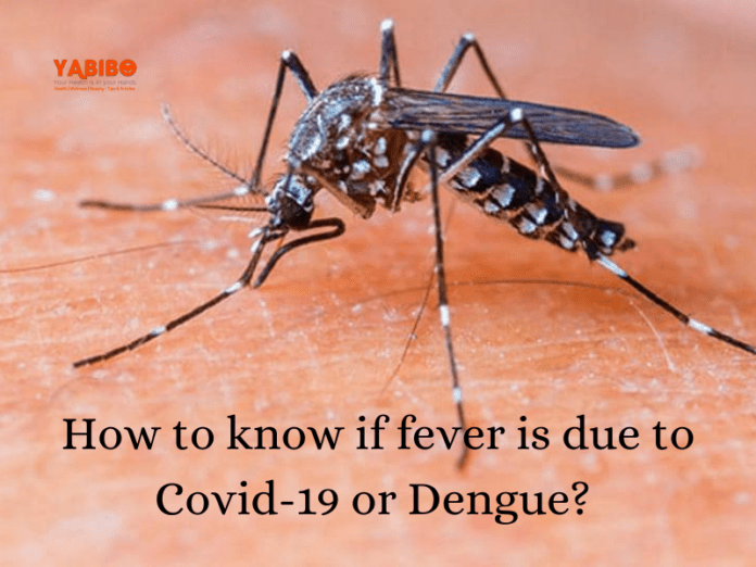 How to know if fever is due to Covid-19 or Dengue?