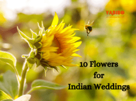 10 Flowers for Indian Weddings