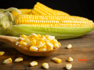 5 Valuable Benefits of Corn for Skin 