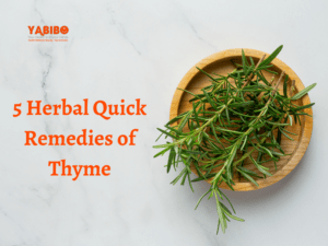 5 Herbal Quick Remedies of Thyme