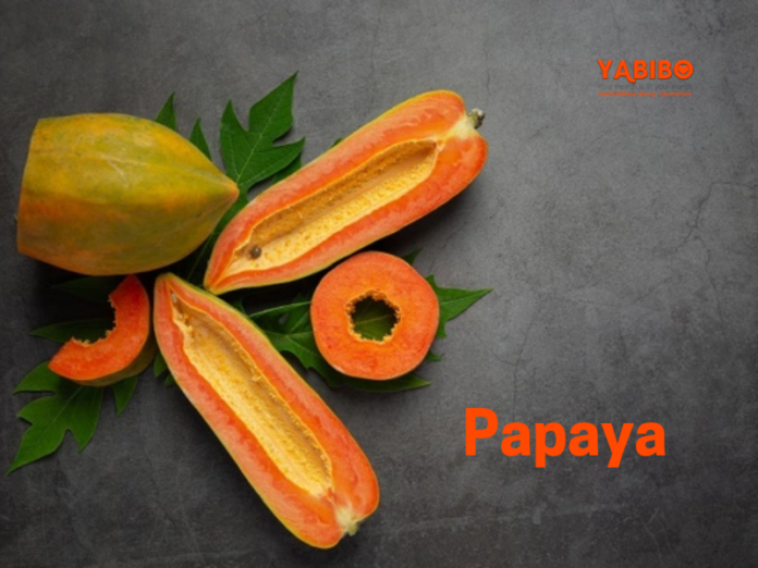 Papaya: Everything to be known about the fruit