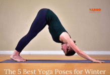 The 5 Best Yoga Poses for Winter