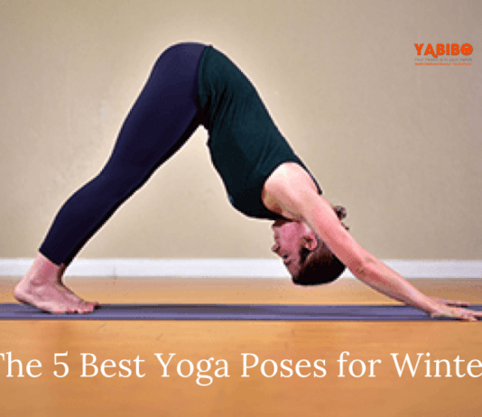 The 5 Best Yoga Poses for Winter