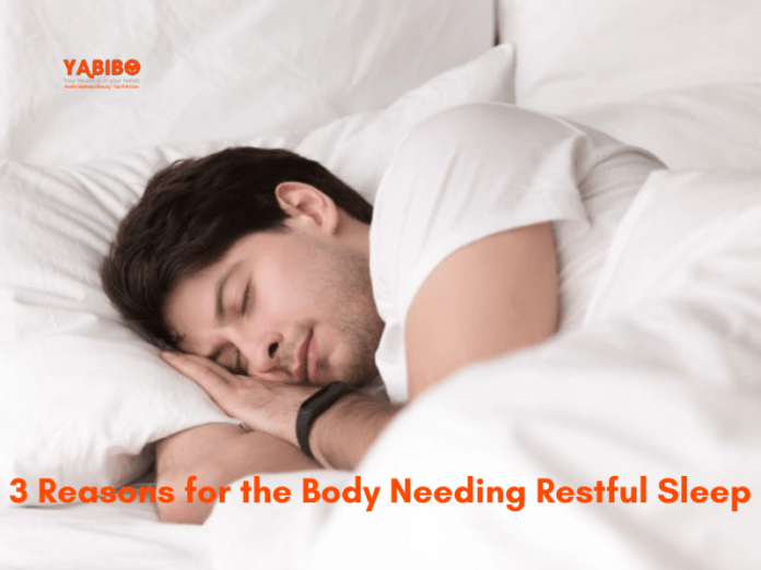 3 Reasons for the Body Needing Restful Sleep