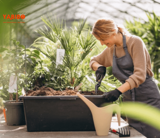 8 important gardening resolutions for 2022 in India