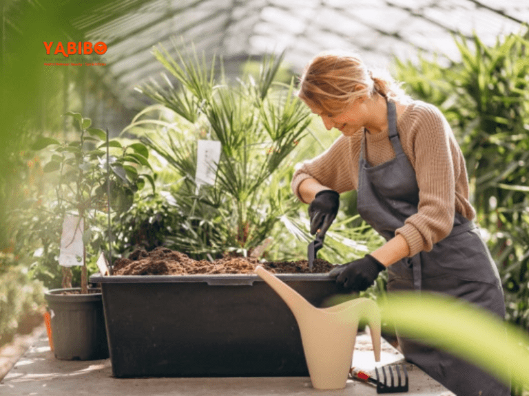 8 important gardening resolutions for 2022 in India