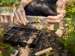 8 important gardening resolutions for 2022 in India