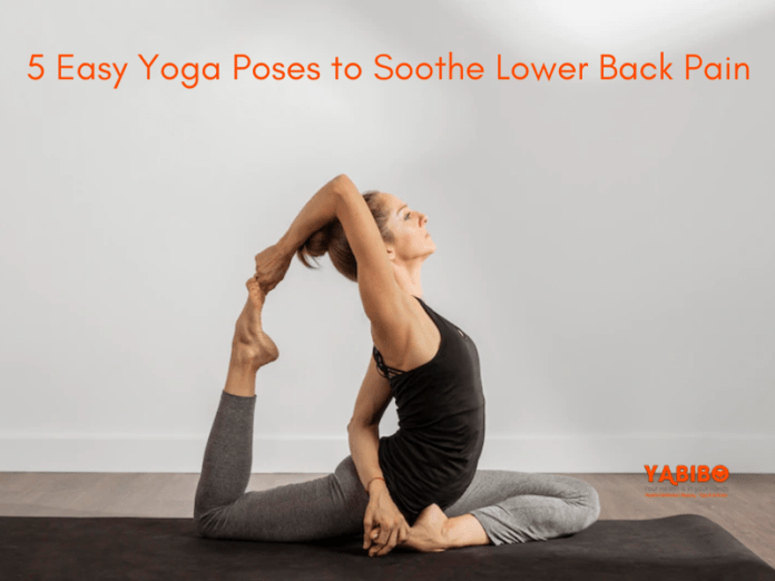 5 Easy Yoga Poses to Soothe Lower Back Pain