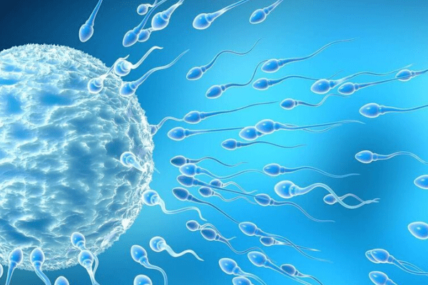What are the causes of male infertility  - Site-Wide Activity