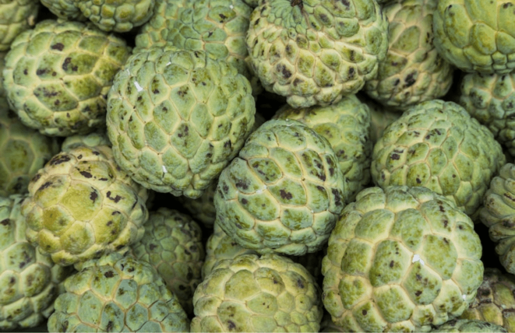 Health Benefits and Drawbacks of Custard Apple