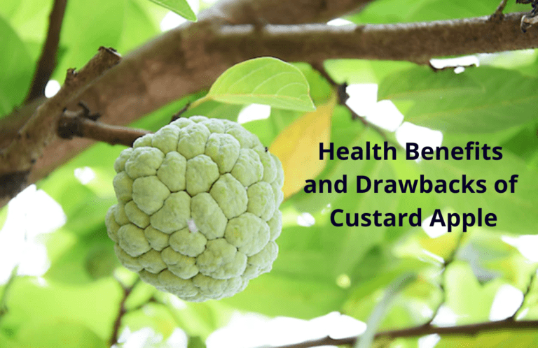 Health Benefits and Drawbacks of Custard Apple