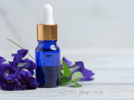 Best substitute for blue tansy essential oil cum advantages