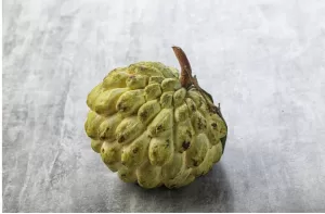 Sweet Health Secret: Custard Apple Incredible Health Benefits 