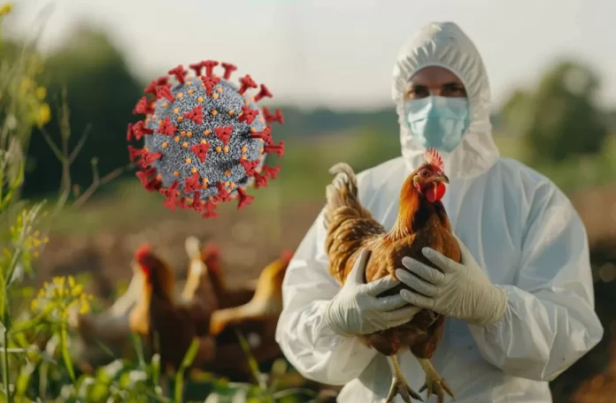 H5N1 Bird Flu Outbreak:  What It Means and How to Be Safe?